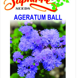 AGERATUM