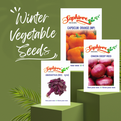 Winter Vegetable Seeds