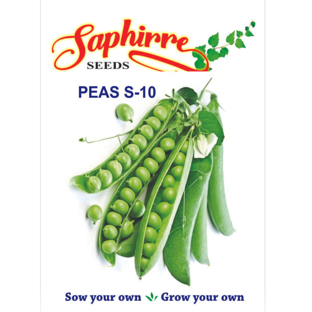 vegetable seeds