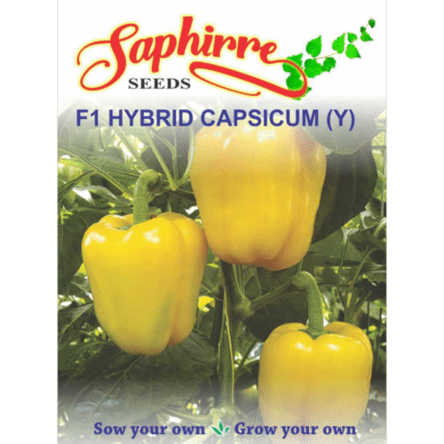 Winter Vegetable Seeds- Capsicum Yellow