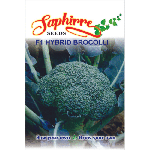 vegetable seeds