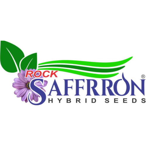 Saffrron Seeds